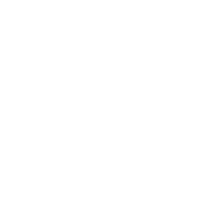 Mostra Valencia